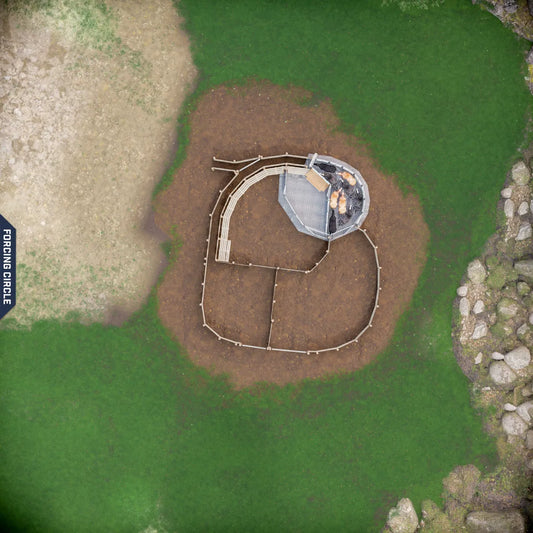 Yard-Show-Cattle