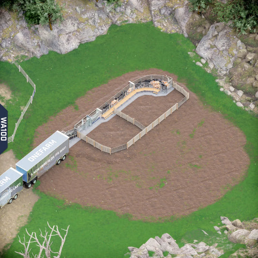 Yard-Show-Cattle
