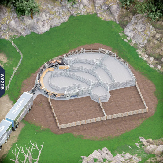 Yard-Show-Cattle