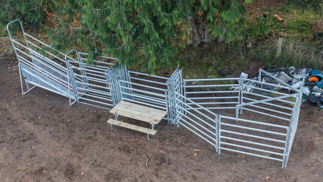 Cattle Yard Design for a Small Herd of 2 to 10
