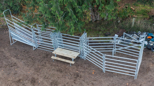 Cattle Yard Design for a Small Herd of 2 to 10