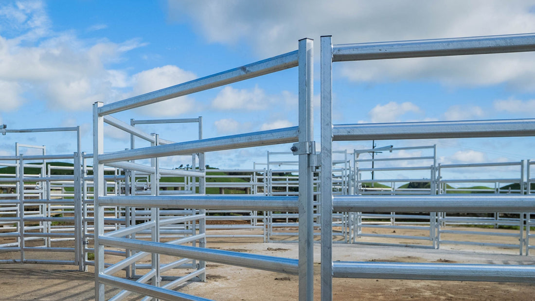 How to Choose the Right Cattle Yard Design for Your Property