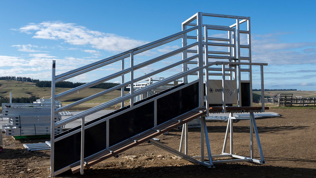 Loading Ramps: Height, Footing and Safe Stock Handling