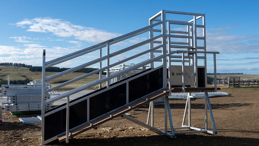 Loading Ramps: Height, Footing and Safe Stock Handling
