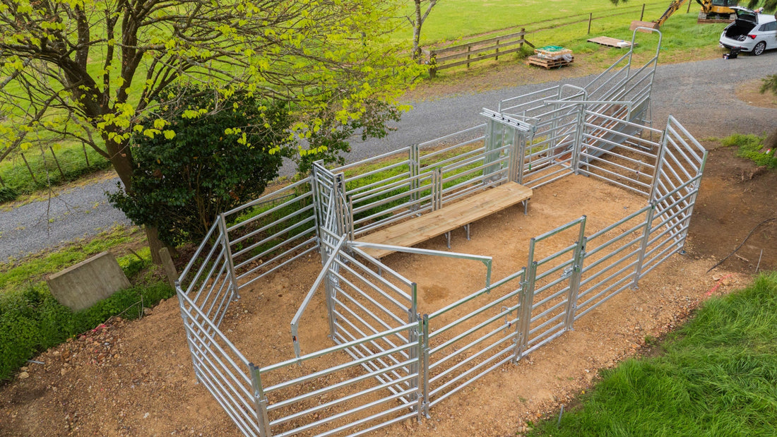 Timber, Steel or Hybrid: Which Cattle Yards Suit Lifestyle Blocks Best?