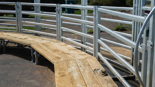 Why Circular Cattle Yards Improve Efficiency and Your Bottom Line