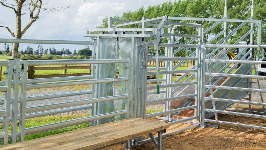 Cattle Yards for Lifestyle Blocks