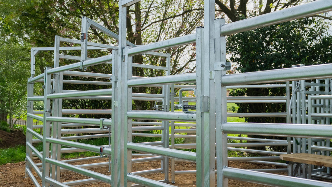 Mixed-Stock Yards: What Most Farmers Get Wrong From the Start