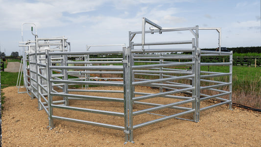 Cattle Yard Design Mistakes Every New Block Owner Makes