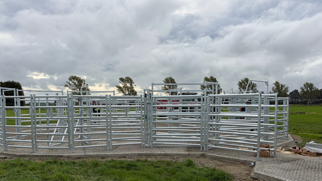 Cattle Yard Drainage: Details That Make or Break