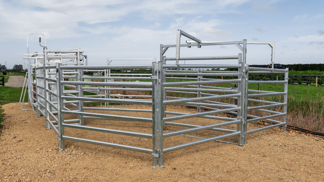 Muddy Cattle Yards: Stop the Annual Battle