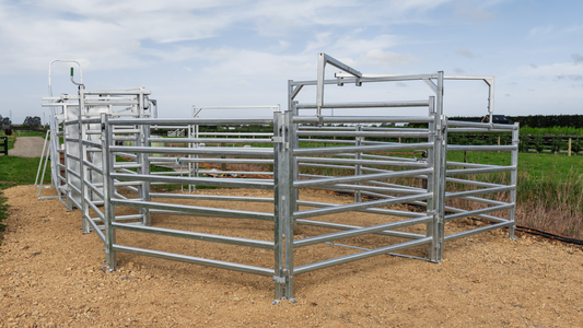 Muddy Cattle Yards: Stop the Annual Battle