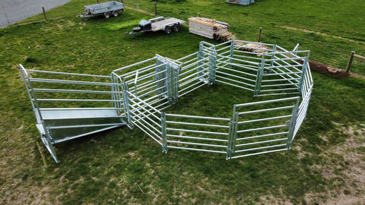 MAXXUS 20 Head Yard for Heath Smith