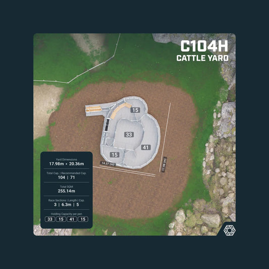first-in-grid