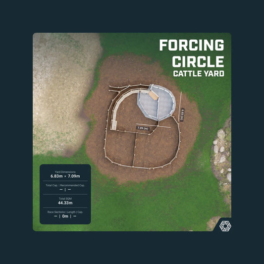 first-in-grid