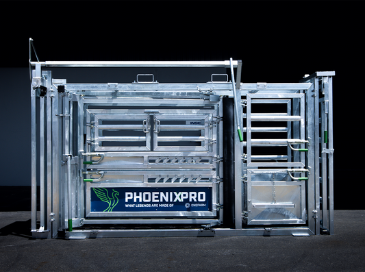 Phoenix Pro Crush