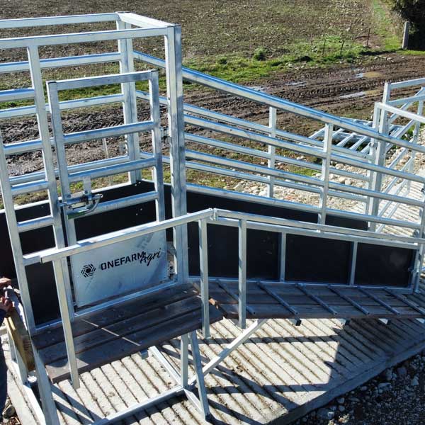 Loading Ramp