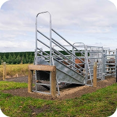 Loading Ramp