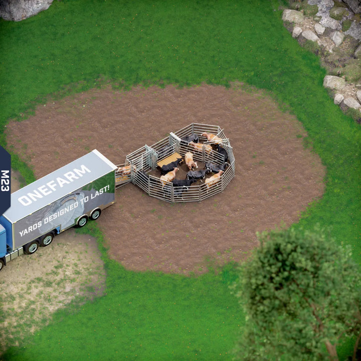 Yard-Show-Cattle