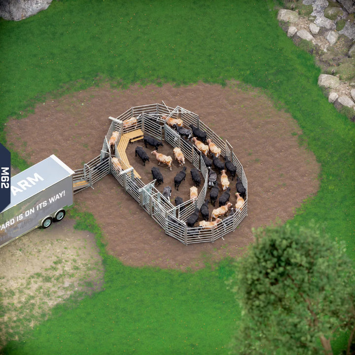 Yard-Show-Cattle