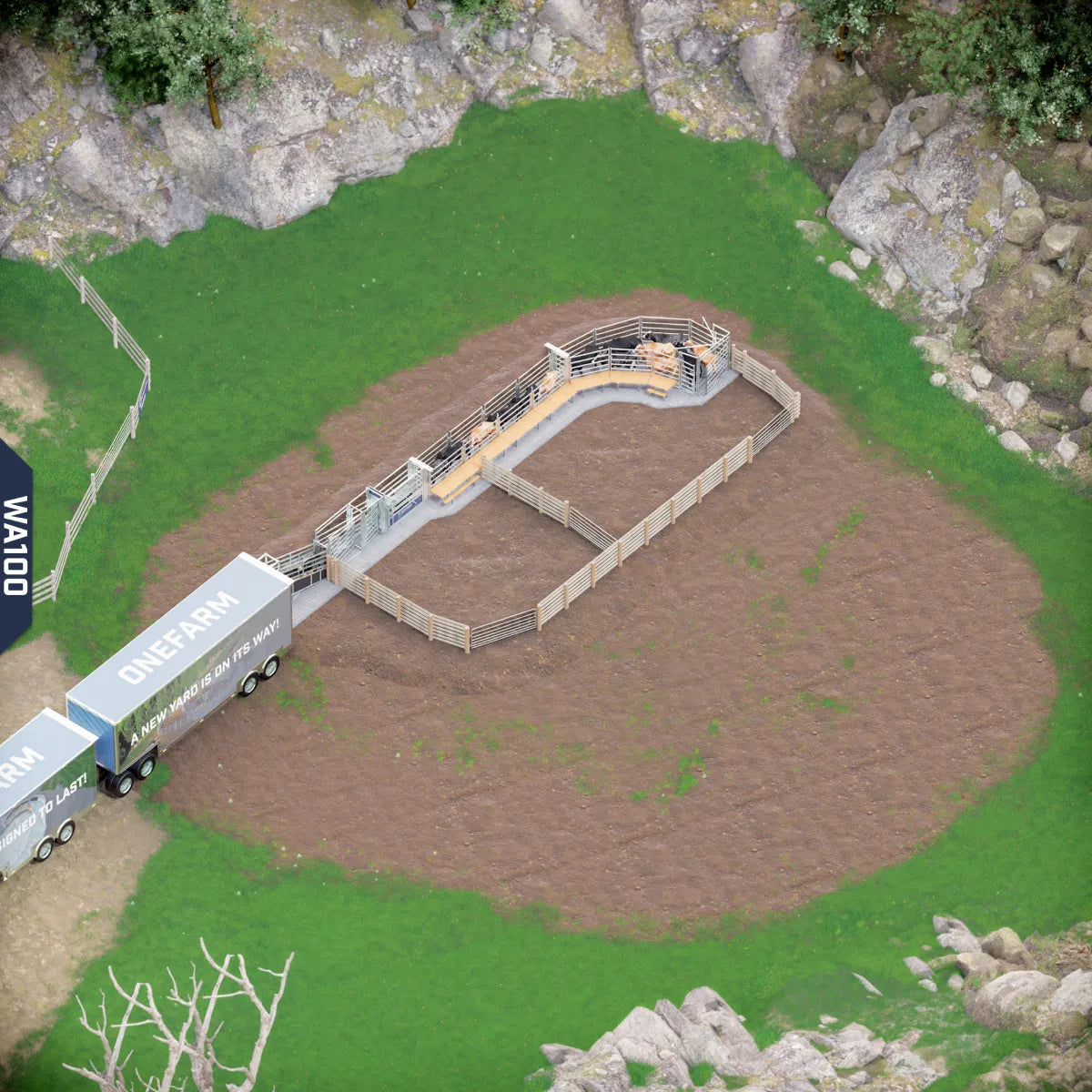 Yard-Show-Cattle