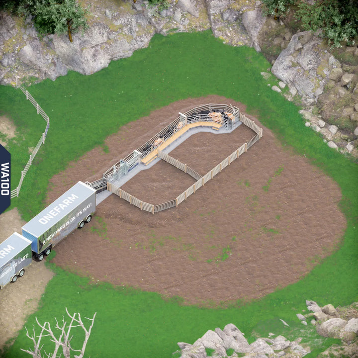 Yard-Show-Cattle