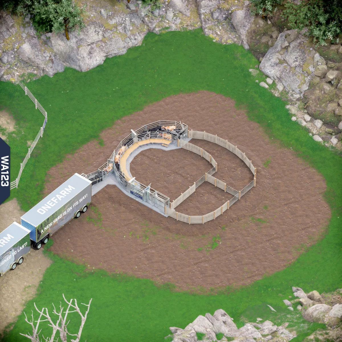 Yard-Show-Cattle