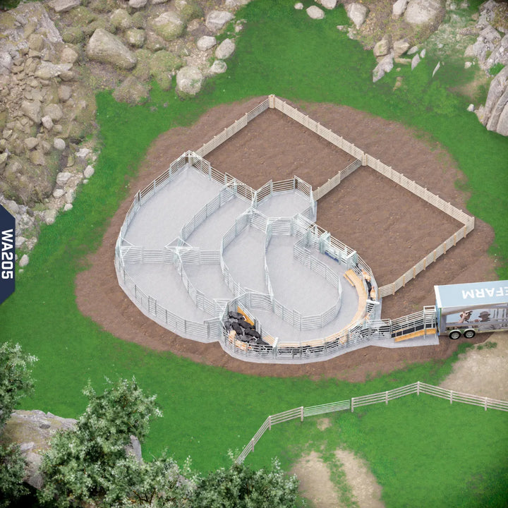 Yard-Show-Cattle