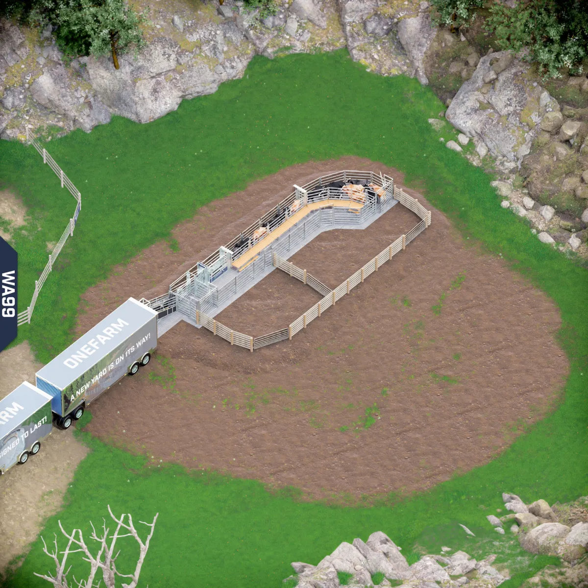Yard-Show-Cattle